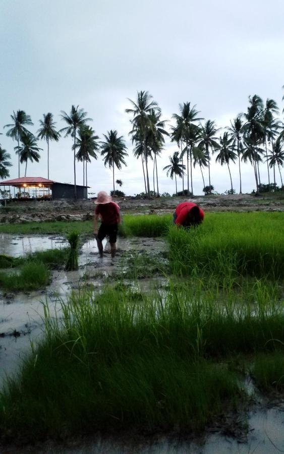 I - Talay Taling Ngam Samui - เขา ป่า นา เล ตลิ่งงาม สมุย酒店 外观 照片