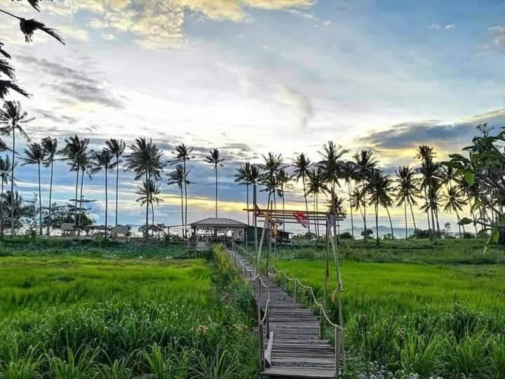I - Talay Taling Ngam Samui - เขา ป่า นา เล ตลิ่งงาม สมุย酒店 外观 照片