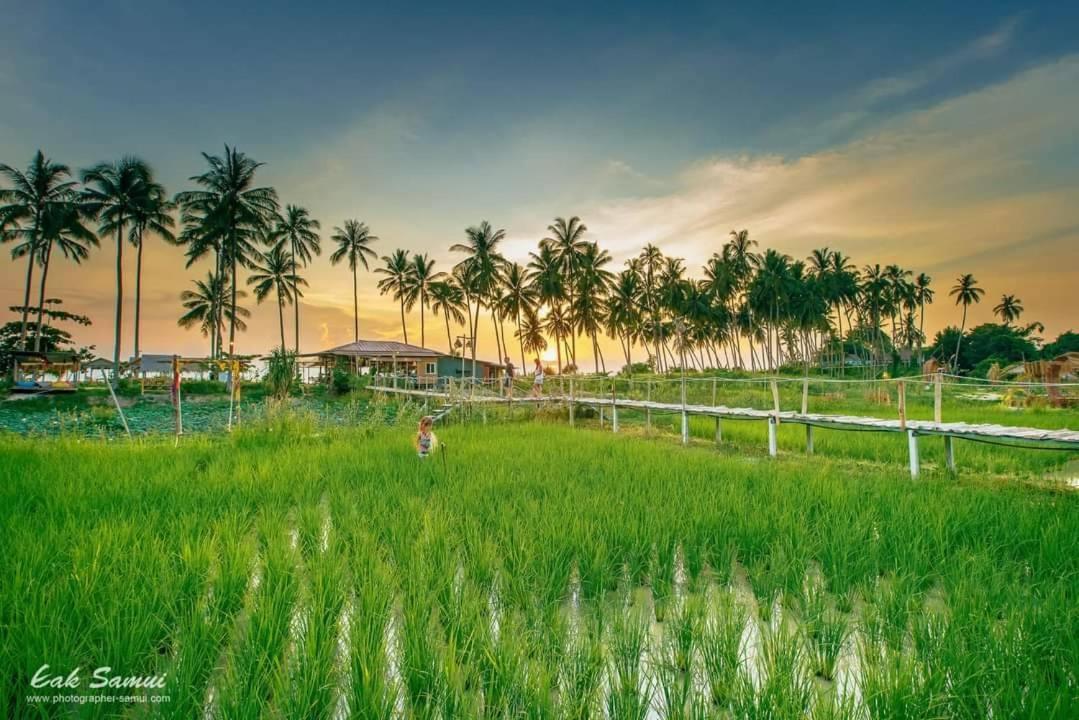 I - Talay Taling Ngam Samui - เขา ป่า นา เล ตลิ่งงาม สมุย酒店 外观 照片
